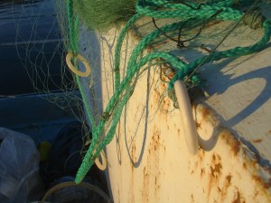 gillnet