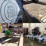 Real Good Fish